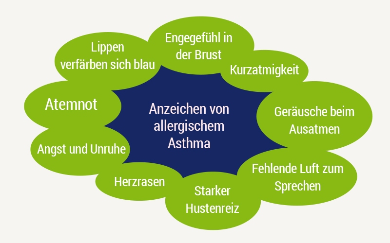 Anzeichen bei Allergischem Asthma