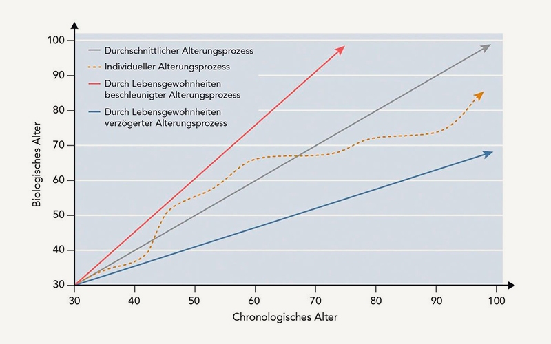 Lebensgewohnheiten und Alterungsprozess Zusammenhang von Alterungsprozess und Lebensbewohnheiten
