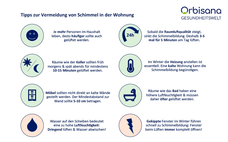 Schimmel in der Wohnung - Tipps zur Vermeidung