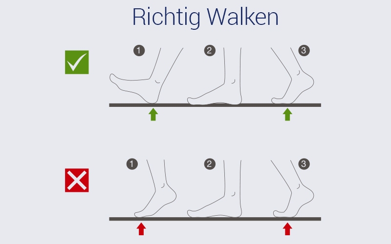 Anleitung - Walking aber richtig Anleitung - Walking aber richtig